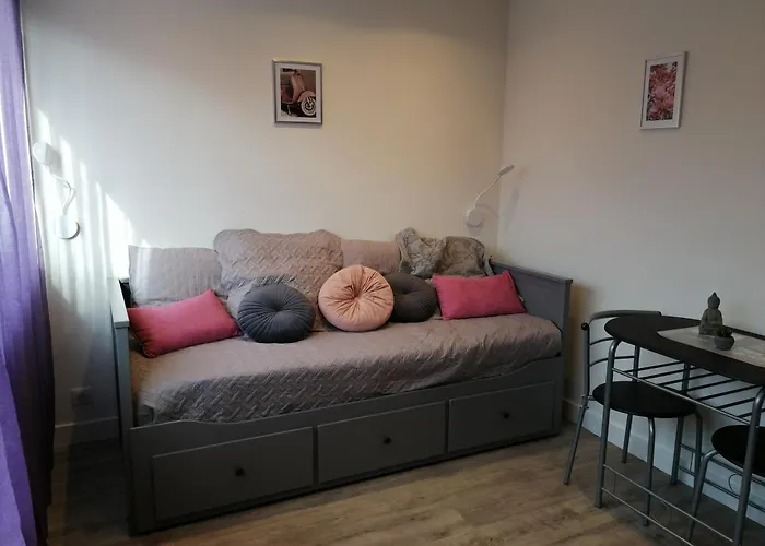 Studio Marina Baie Des Anges