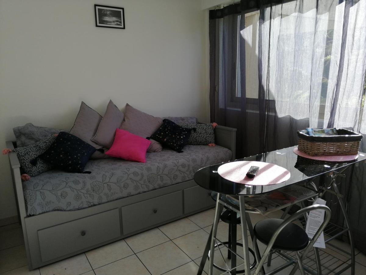 Marina Baie Des Anges Apartment *
